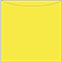 Lemon Drop Jacket Invitation Style A3 (5 5/8 x 5 5/8)10/Pk
