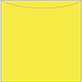 Lemon Drop Jacket Invitation Style A3 (5 5/8 x 5 5/8) - 10/Pk