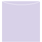 Purple Lace Jacket Invitation Style A3 (5 5/8 x 5 5/8)10/Pk
