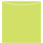 Citrus Green Jacket Invitation Style A3 (5 5/8 x 5 5/8) 10/Pk