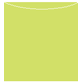 Citrus Green Jacket Invitation Style A3 (5 5/8 x 5 5/8) - 10/Pk