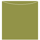 Olive Jacket Invitation Style A3 (5 5/8 x 5 5/8) - 10/Pk