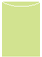 Pistachio Jacket Invitation Style A4 (3 3/4 x 5 1/8) 10/Pk