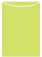 Citrus Green Jacket Invitation Style A4 (3 3/4 x 5 1/8) 10/Pk