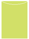 Citrus Green Jacket Invitation Style A4 (3 3/4 x 5 1/8) - 10/Pk