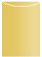 Gold Jacket Invitation Style A4 (3 3/4 x 5 1/8)10/Pk