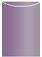 Purple Jacket Invitation Style A4 (3 3/4 x 5 1/8)10/Pk