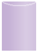 Violet Jacket Invitation Style A4 (3 3/4 x 5 1/8)10/Pk