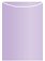 Violet Jacket Invitation Style A4 (3 3/4 x 5 1/8) 10/Pk