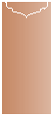 Copper Jacket Invitation Style C1 (4 x 9) - 10/Pk