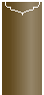 Bronze Jacket Invitation Style C1 (4 x 9)10/Pk