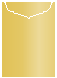 Gold Jacket Invitation Style C2 (5 1/8 x 7 1/8)10/Pk