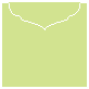 Pistachio Jacket Invitation Style C3 (5 5/8 x 5 5/8)