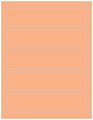 Ginger Soho Belt Labels 1 3/4 x 7 1/2 (5 per sheet - 5 sheets per pack)
