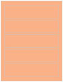 Ginger Soho Belt Labels 1 3/4 x 7 1/2 (5 per sheet - 5 sheets per pack)