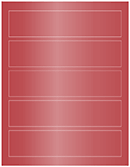 Jupiter Soho Belt Labels 1 3/4 x 7 1/2 (5 per sheet - 5 sheets per pack)