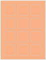 Ginger Soho Square Labels 2 x 2 (12 per sheet - 5 sheets per pack)