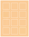 Peach Soho Square Labels 2 x 2 (12 per sheet - 5 sheets per pack)