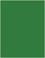 Verde Soho Full Sheet Labels 8 1/2 x 11 (1 per sheet - 5 sheets per pack)