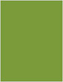 Iguana Soho Full Sheet Labels 8 1/2 x 11 (1 per sheet - 5 sheets per pack)