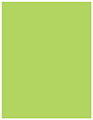 Citrus Green Soho Full Sheet Labels 8 1/2 x 11 (1 per sheet - 5 sheets per pack)