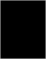 Black Soho Full Sheet Labels 8 1/2 x 11 (1 per sheet - 5 sheets per pack)