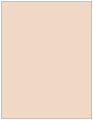 Coral Soho Full Sheet Labels 8 1/2 x 11 (1 per sheet - 5 sheets per pack)