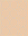 Latte Soho Round Labels Style B5