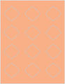 Ginger Soho Diamond Labels Style B3