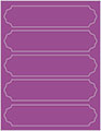 Plum Punch Soho Labels Style B6
