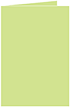 Pistachio Landscape Card 2 1/2 x 3 1/2 - 25/Pk