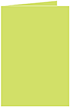 Citrus Green Landscape Card 2 1/2 x 3 1/2 - 25/Pk