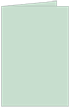 Tiffany Blue Landscape Card 2 1/2 x 3 1/2 - 25/Pk