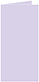 Purple Lace Landscape Card 2 x 4 - 25/Pk