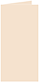 Latte Landscape Card 2 x 4 - 25/Pk