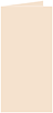 Latte Landscape Card 2 x 4 - 25/Pk