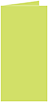 Citrus Green Landscape Card 2 x 4 - 25/Pk