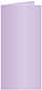 Violet Landscape Card 2 x 4 - 25/Pk