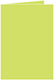 Citrus Green Landscape Card 3 1/2 x 5 - 25/Pk