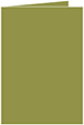 Olive Landscape Card 3 1/2 x 5 - 25/Pk