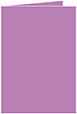 Plum Punch Landscape Card 3 1/2 x 5 - 25/Pk