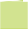 Pistachio Landscape Card 4 3/4 x 4 3/4 - 25/Pk