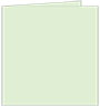 Green Tea Landscape Card 4 3/4 x 4 3/4 - 25/Pk