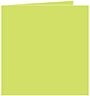 Citrus Green Landscape Card 4 3/4 x 4 3/4 - 25/Pk