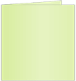 Sour Apple Landscape Card 4 3/4 x 4 3/4 - 25/Pk