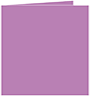 Plum Punch Landscape Card 4 3/4 x 4 3/4 - 25/Pk