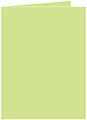 Pistachio Landscape Card 4 1/4 x 5 1/2 - 25/Pk