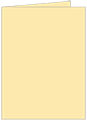 Peach Landscape Card 4 1/4 x 5 1/2 - 25/Pk