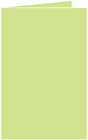 Pistachio Landscape Card 4 1/2 x 6 1/4 - 25/Pk