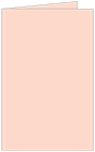 Ginger Landscape Card 4 1/2 x 6 1/4 - 25/Pk